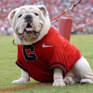 Meet your Posher, Brad